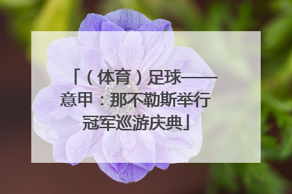 （体育）足球——意甲：那不勒斯举行冠军巡游庆典